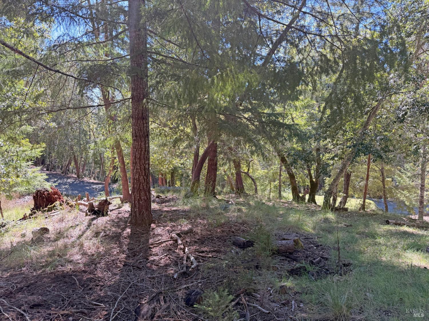 Detail Gallery Image 7 of 12 For 25940 Poppy Pl, Willits,  CA 95490 - – Beds | – Baths