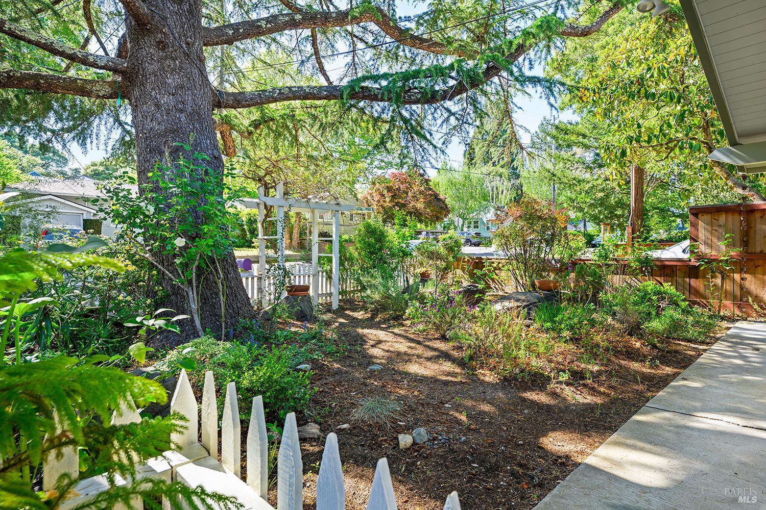 Detail Gallery Image 3 of 39 For 285 Neva St, Sebastopol,  CA 95472 - 3 Beds | 2/1 Baths