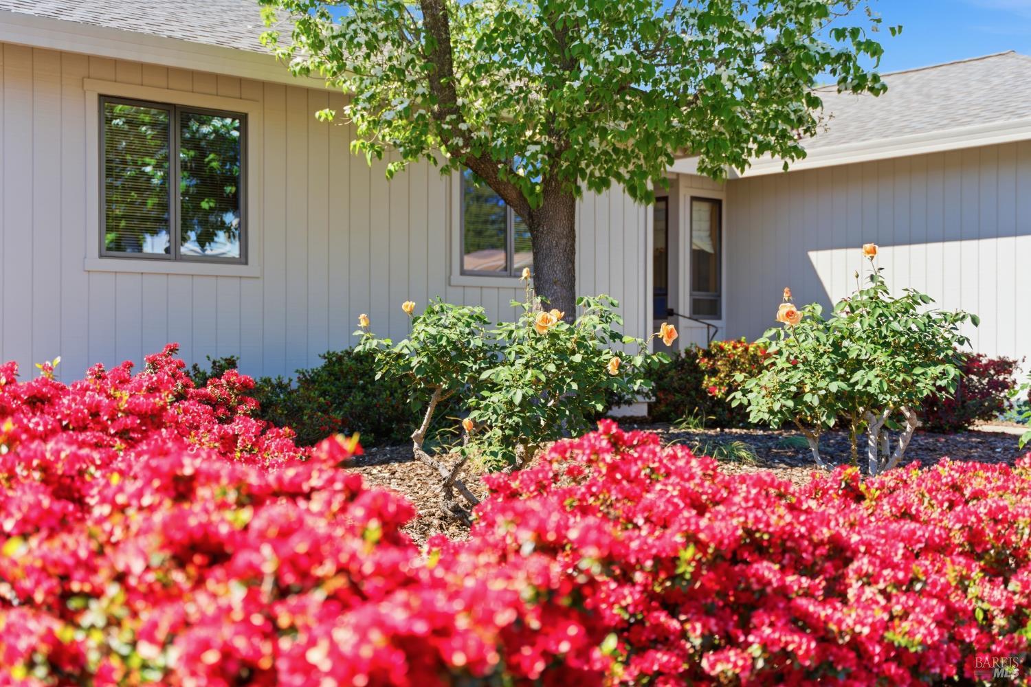 665 4th Street E photo 3