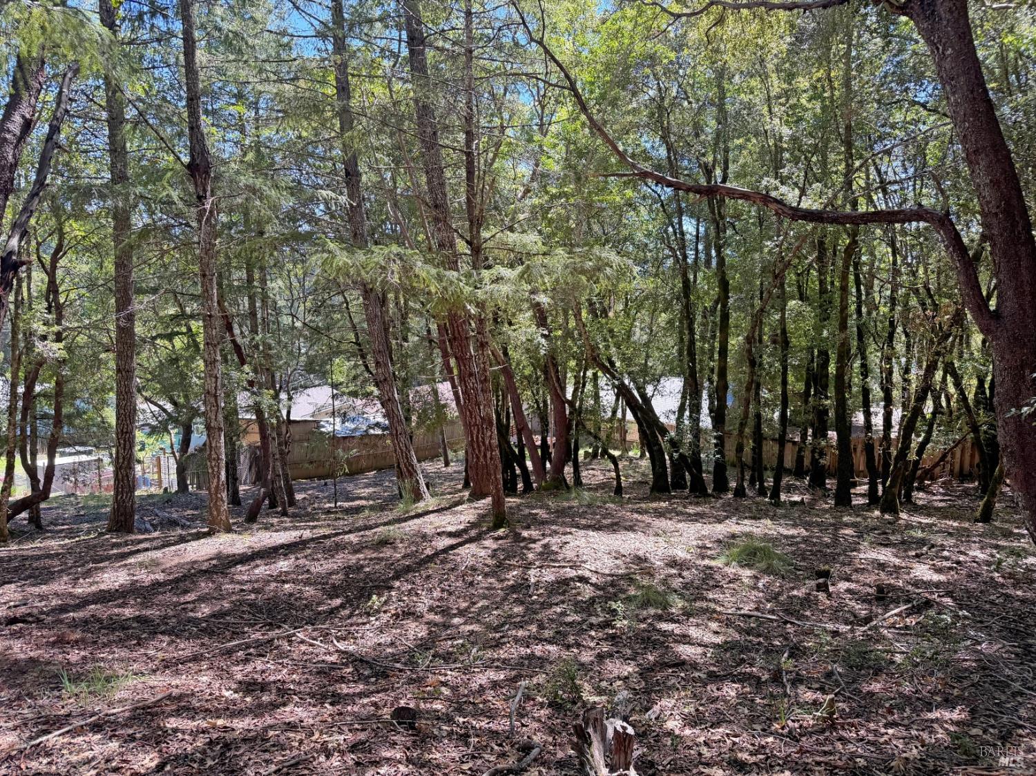 Detail Gallery Image 11 of 12 For 2076 Buckeye Rd, Willits,  CA 95490 - – Beds | – Baths