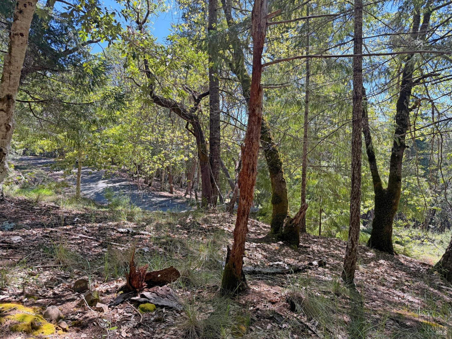 Detail Gallery Image 4 of 12 For 25940 Poppy Pl, Willits,  CA 95490 - – Beds | – Baths