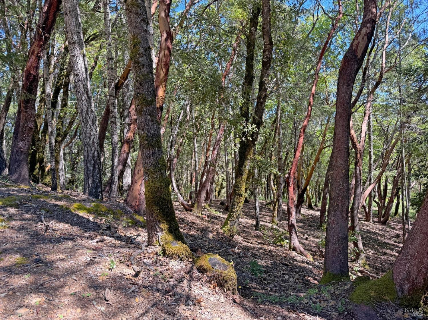 Front Image Thumbnail for BA326027222