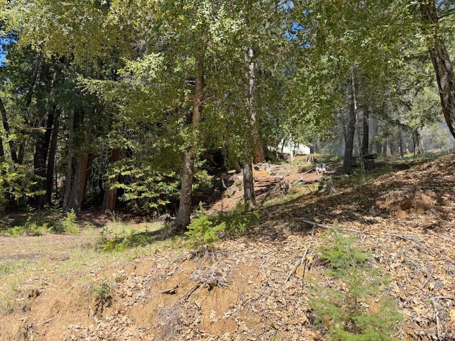 Detail Gallery Image 2 of 12 For 25940 Poppy Pl, Willits,  CA 95490 - – Beds | – Baths