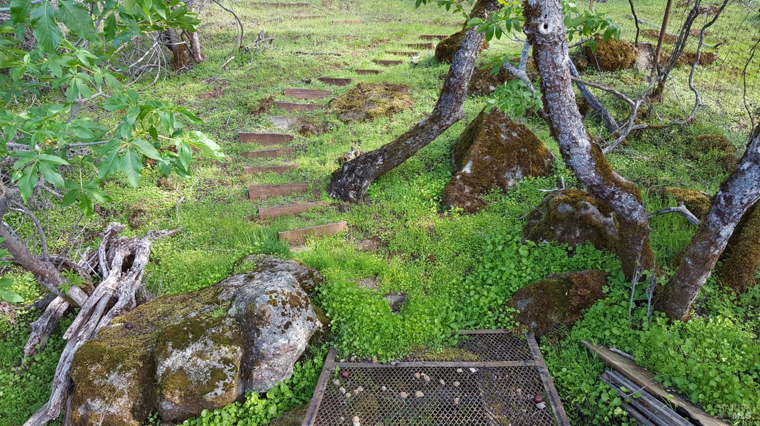 Detail Gallery Image 58 of 61 For 13017 Park Dr, Lower Lake,  CA 95457 - 3 Beds | 2 Baths