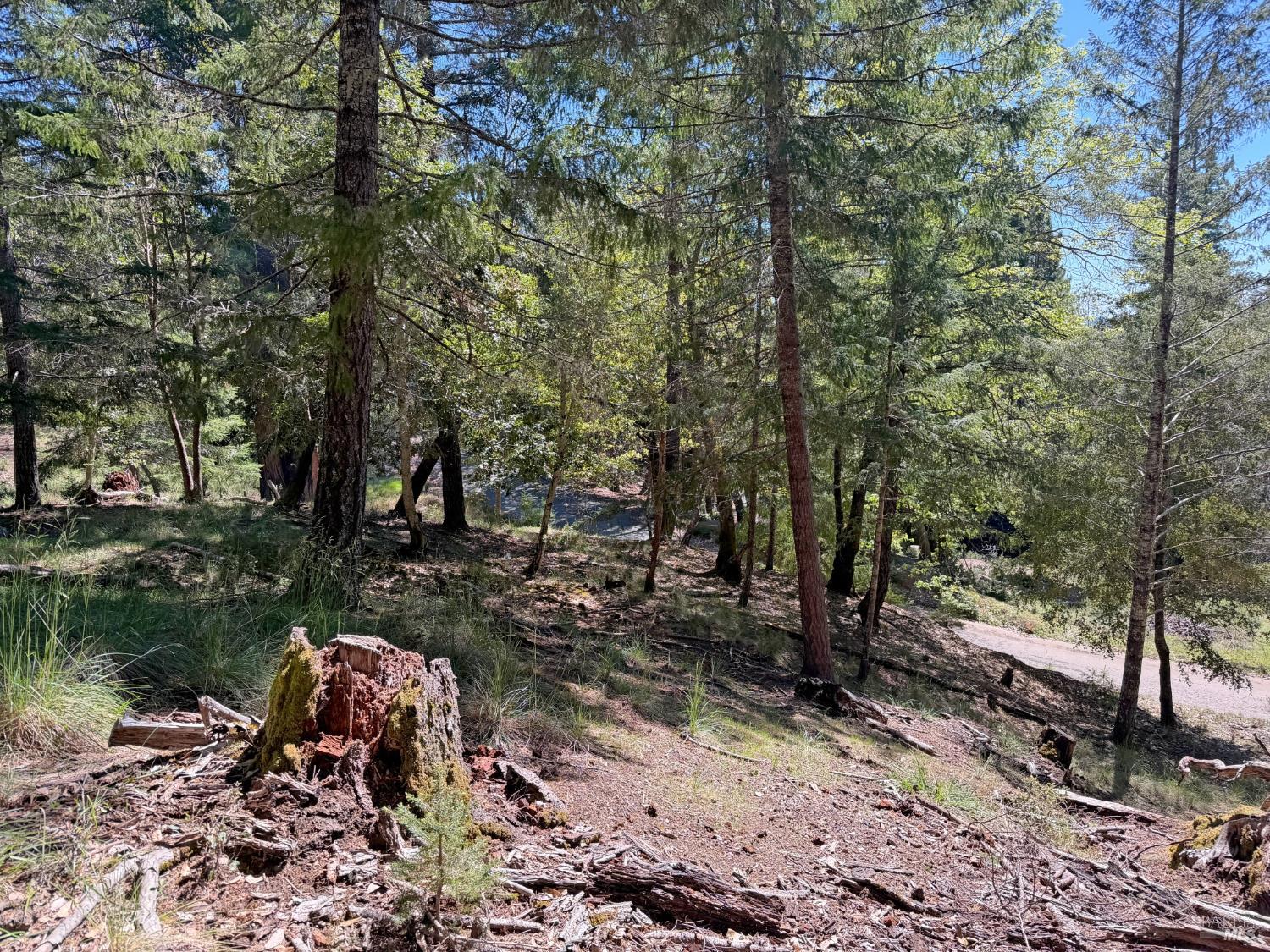 Detail Gallery Image 9 of 12 For 25940 Poppy Pl, Willits,  CA 95490 - – Beds | – Baths