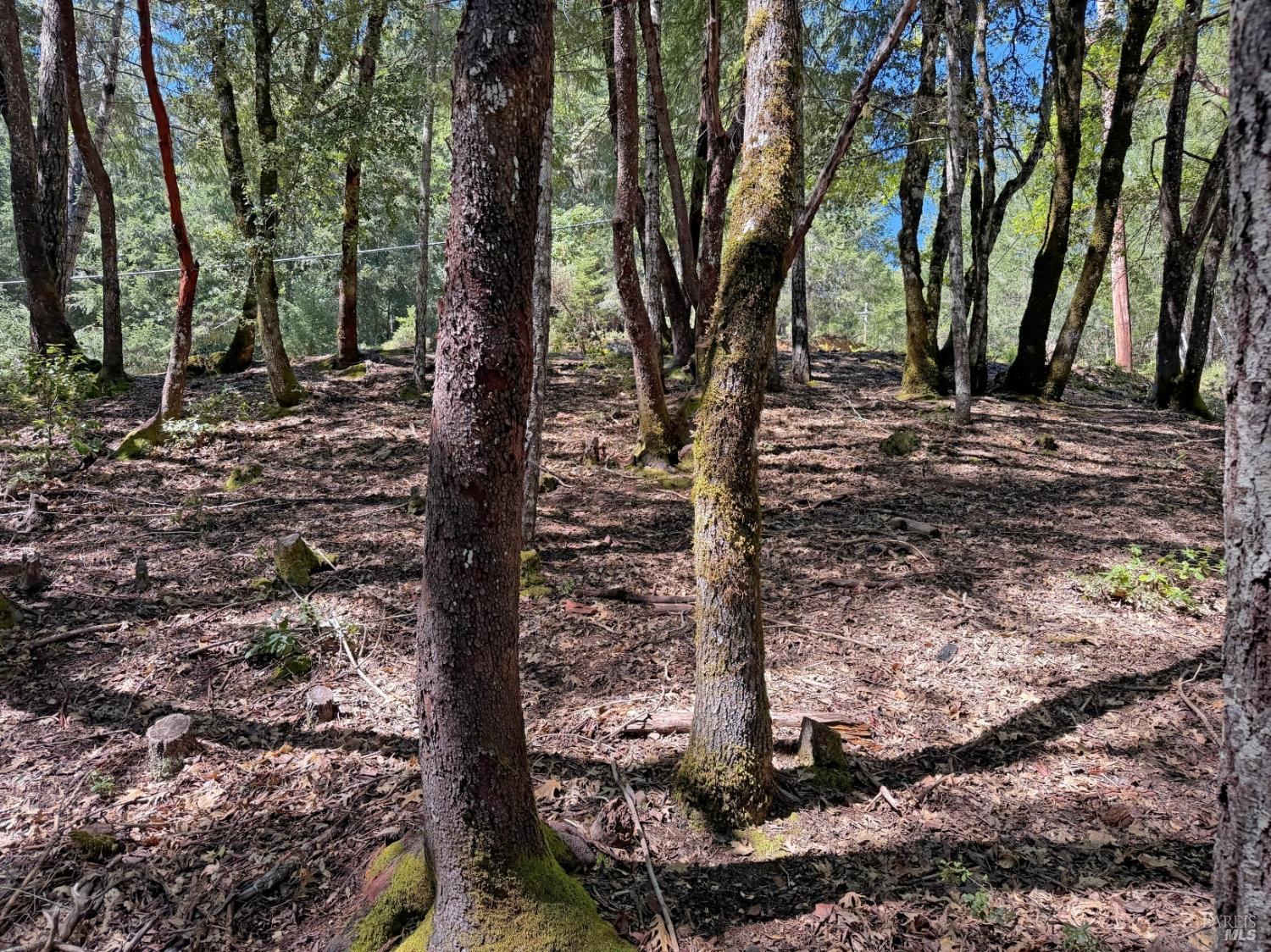 Detail Gallery Image 2 of 12 For 2076 Buckeye Rd, Willits,  CA 95490 - – Beds | – Baths