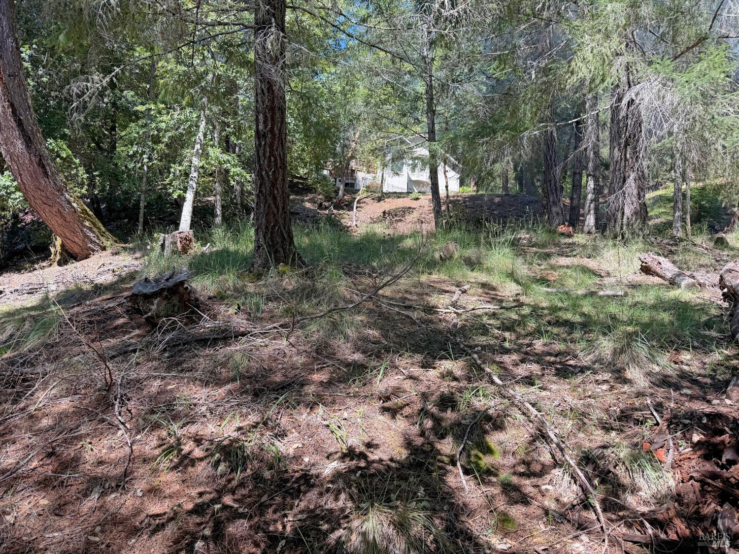 Detail Gallery Image 5 of 12 For 25940 Poppy Pl, Willits,  CA 95490 - – Beds | – Baths