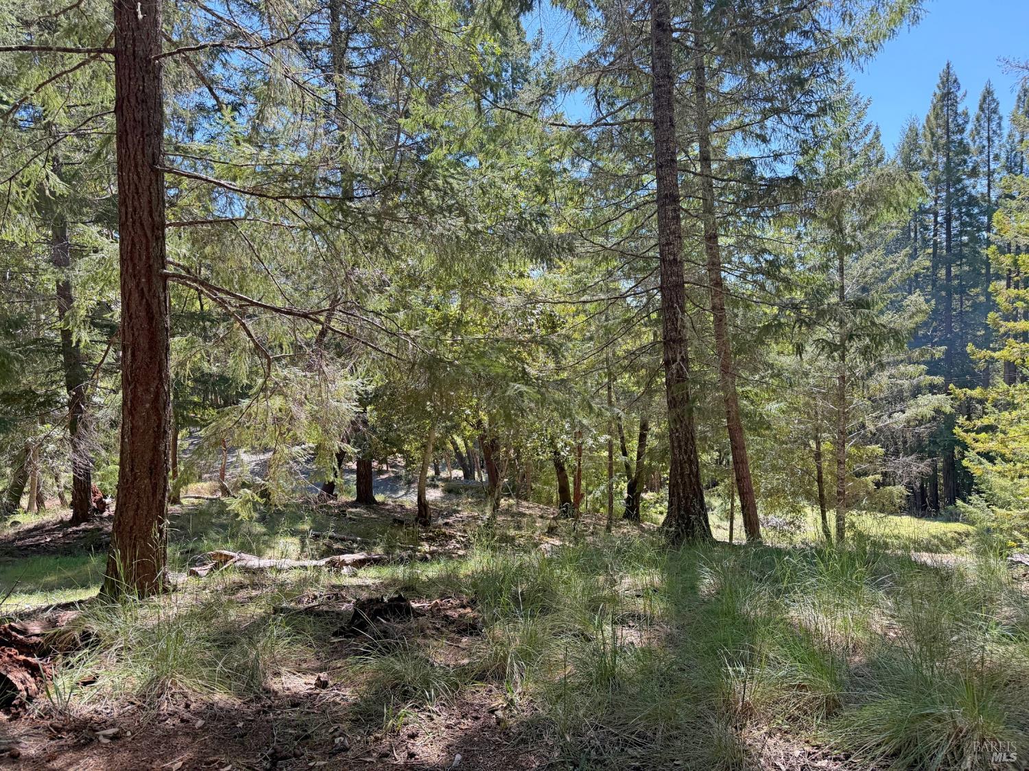 Detail Gallery Image 8 of 12 For 25940 Poppy Pl, Willits,  CA 95490 - – Beds | – Baths