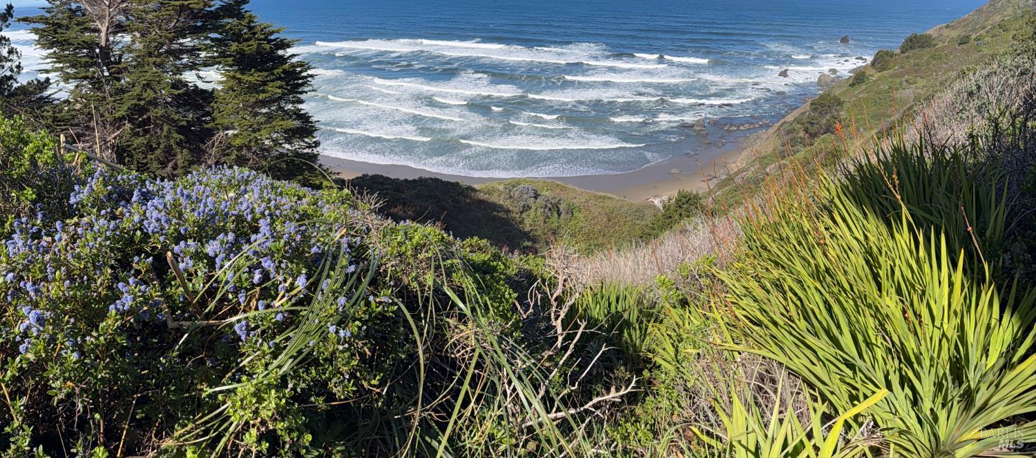 Detail Gallery Image 36 of 40 For 15150 Irish Beach Dr, Manchester,  CA 95445 - 2 Beds | 1/1 Baths