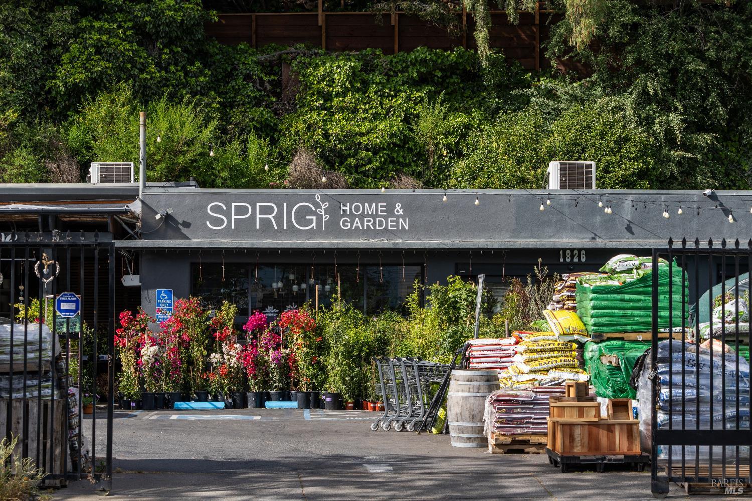 Detail Gallery Image 50 of 50 For 159 Terrace Ave, San Rafael,  CA 94901 - 3 Beds | 2 Baths