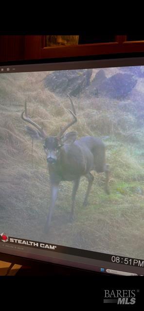 Detail Gallery Image 26 of 28 For 17707 Rockpile Rd, Geyserville,  CA 95441 - – Beds | – Baths