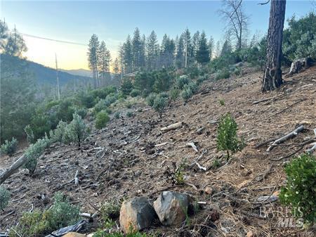 Detail Gallery Image 10 of 14 For 16710 Starview Loop, Cobb,  CA 95426 - – Beds | – Baths