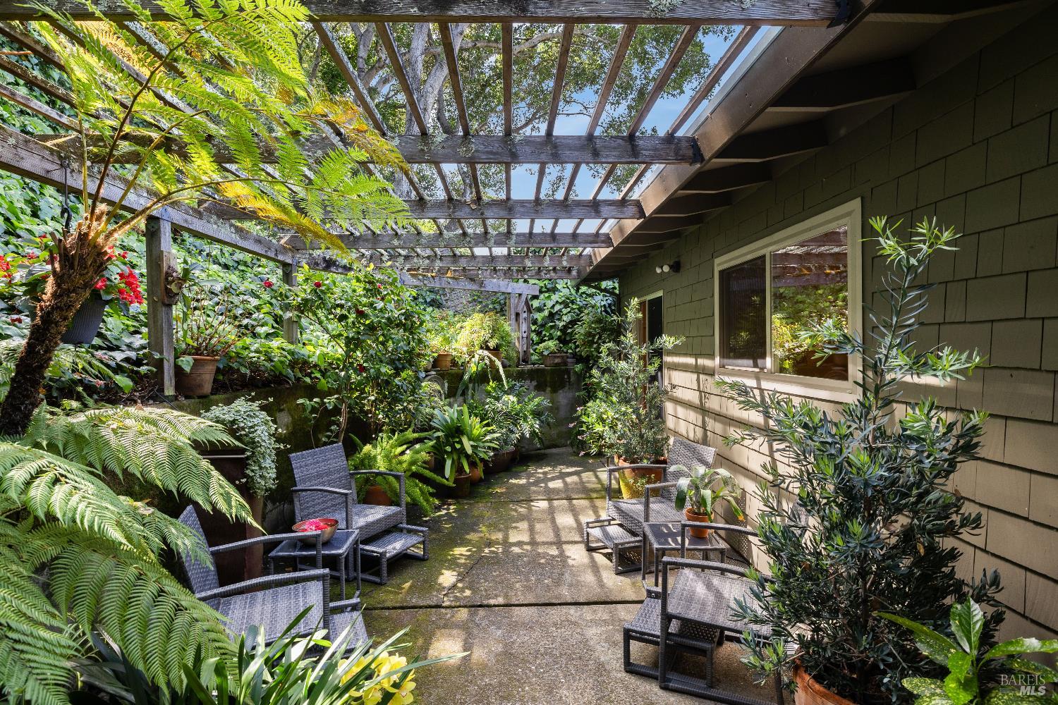 Detail Gallery Image 26 of 50 For 159 Terrace Ave, San Rafael,  CA 94901 - 3 Beds | 2 Baths