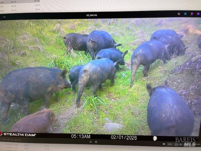 Detail Gallery Image 23 of 28 For 17707 Rockpile Rd, Geyserville,  CA 95441 - – Beds | – Baths