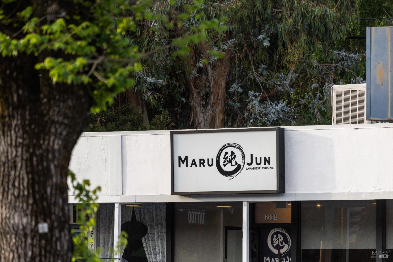 Detail Gallery Image 48 of 50 For 159 Terrace Ave, San Rafael,  CA 94901 - 3 Beds | 2 Baths