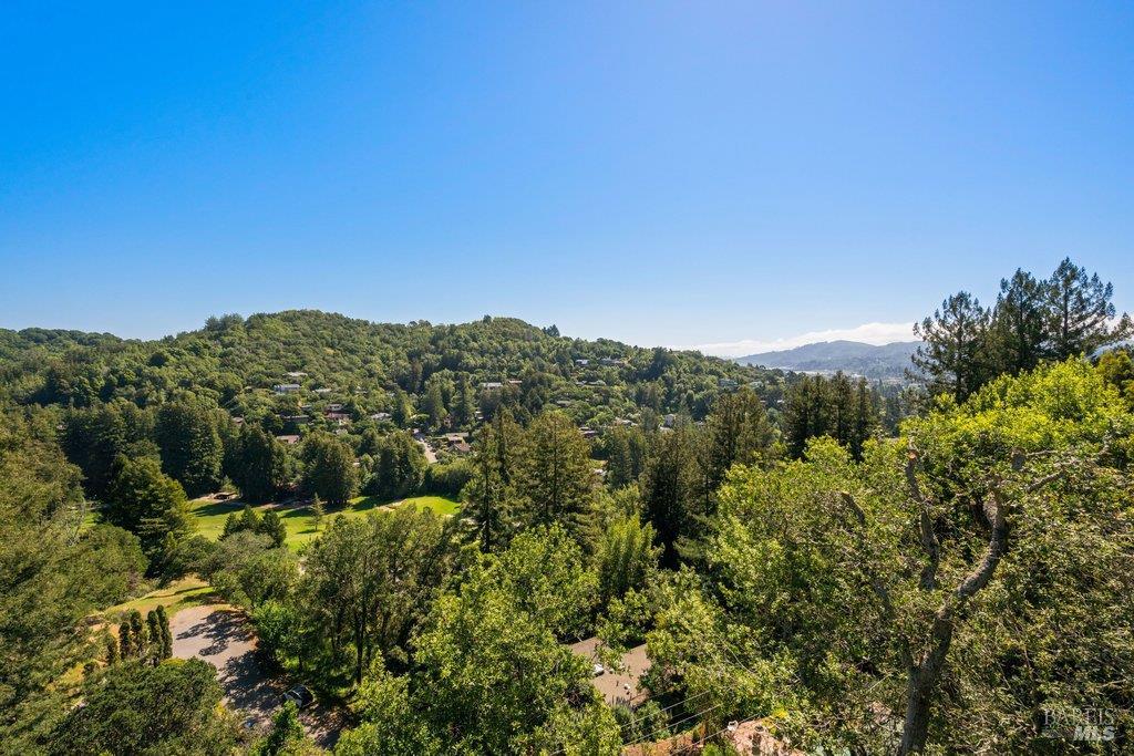 Detail Gallery Image 28 of 29 For 191 Elinor Ave, Mill Valley,  CA 94941 - 4 Beds | 3 Baths