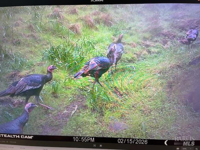 Detail Gallery Image 22 of 28 For 17707 Rockpile Rd, Geyserville,  CA 95441 - – Beds | – Baths