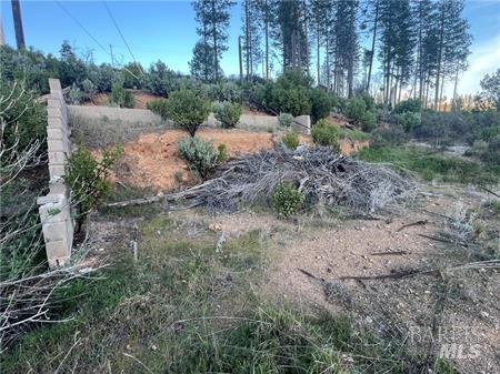 Detail Gallery Image 3 of 7 For 16789 Starview Loop, Cobb,  CA 95426 - – Beds | – Baths