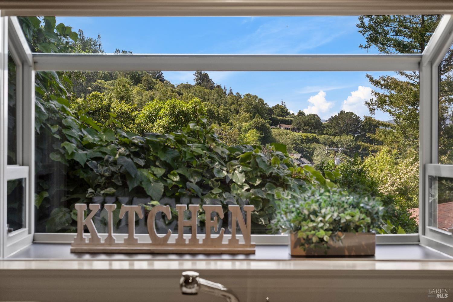 Detail Gallery Image 23 of 50 For 159 Terrace Ave, San Rafael,  CA 94901 - 3 Beds | 2 Baths