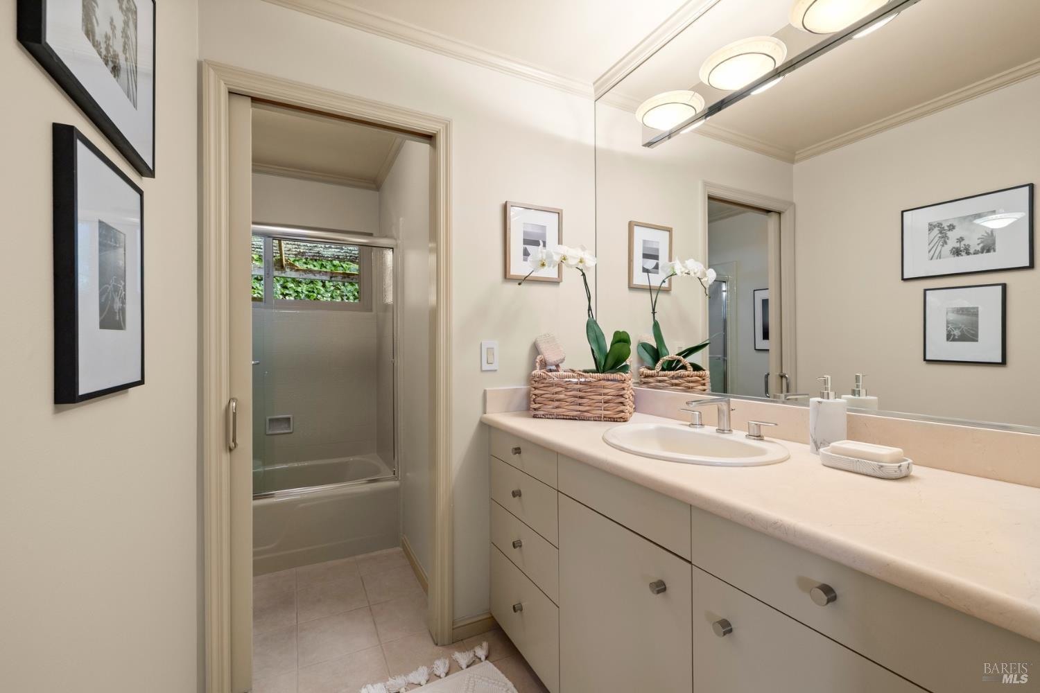 Detail Gallery Image 37 of 50 For 159 Terrace Ave, San Rafael,  CA 94901 - 3 Beds | 2 Baths