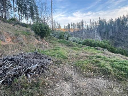 Detail Gallery Image 3 of 7 For 16709 Starview Loop, Cobb,  CA 95426 - – Beds | – Baths