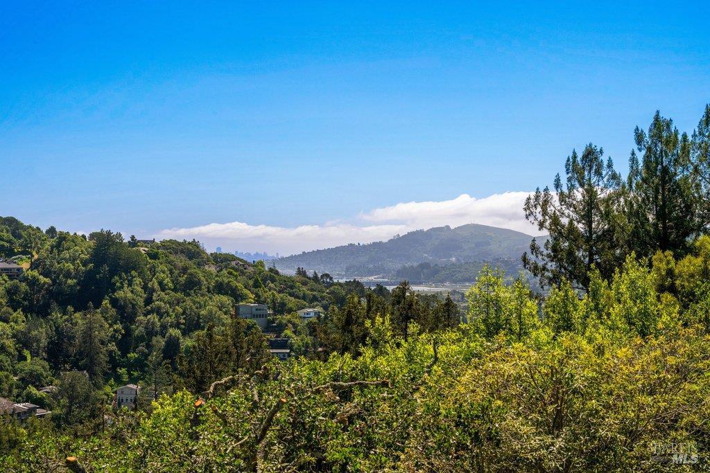 Detail Gallery Image 26 of 29 For 191 Elinor Ave, Mill Valley,  CA 94941 - 4 Beds | 3 Baths