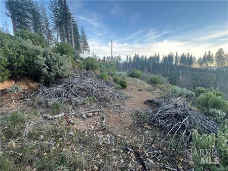 Detail Gallery Image 3 of 15 For 16790 Starview Loop, Cobb,  CA 95426 - – Beds | – Baths