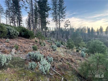 Detail Gallery Image 12 of 14 For 16710 Starview Loop, Cobb,  CA 95426 - – Beds | – Baths