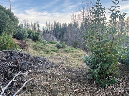 Detail Gallery Image 6 of 7 For 16709 Starview Loop, Cobb,  CA 95426 - – Beds | – Baths