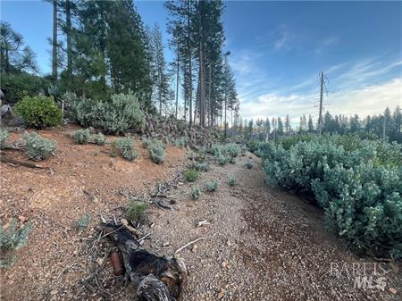 Detail Gallery Image 7 of 15 For 16790 Starview Loop, Cobb,  CA 95426 - – Beds | – Baths