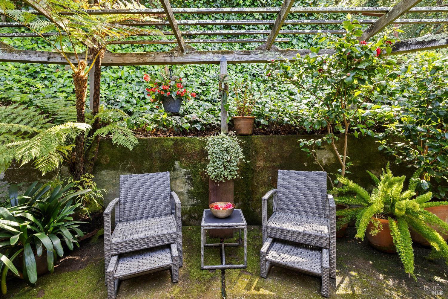 Detail Gallery Image 27 of 50 For 159 Terrace Ave, San Rafael,  CA 94901 - 3 Beds | 2 Baths