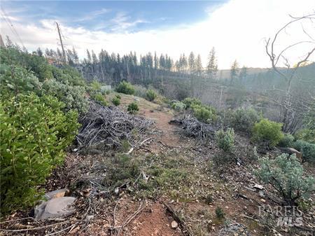 Detail Gallery Image 4 of 15 For 16790 Starview Loop, Cobb,  CA 95426 - – Beds | – Baths