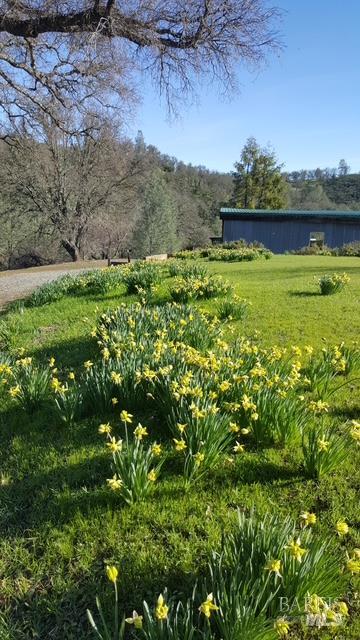Detail Gallery Image 10 of 28 For 2002 Ogulin Canyon Rd, Clearlake,  CA 95422 - 2 Beds | 2 Baths