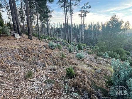 Detail Gallery Image 11 of 14 For 16710 Starview Loop, Cobb,  CA 95426 - – Beds | – Baths