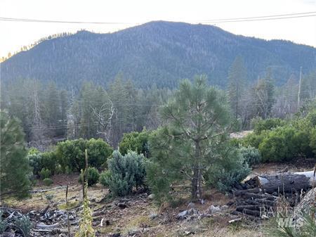 Detail Gallery Image 13 of 14 For 16710 Starview Loop, Cobb,  CA 95426 - – Beds | – Baths