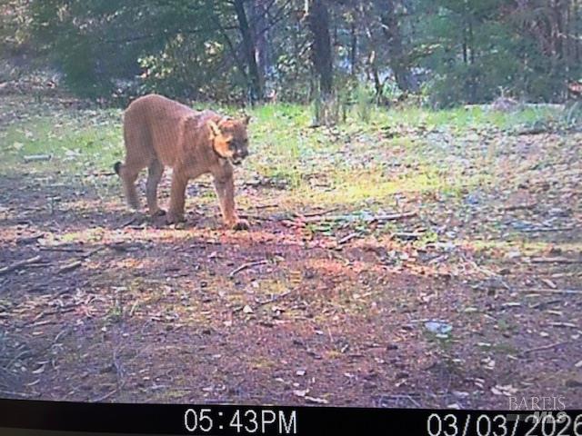 Detail Gallery Image 21 of 28 For 17707 Rockpile Rd, Geyserville,  CA 95441 - – Beds | – Baths