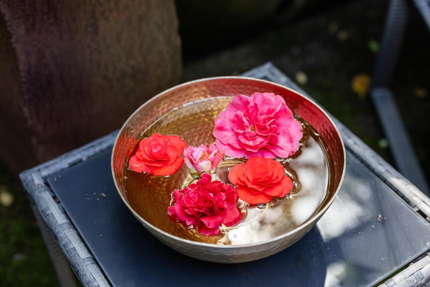 Detail Gallery Image 28 of 50 For 159 Terrace Ave, San Rafael,  CA 94901 - 3 Beds | 2 Baths