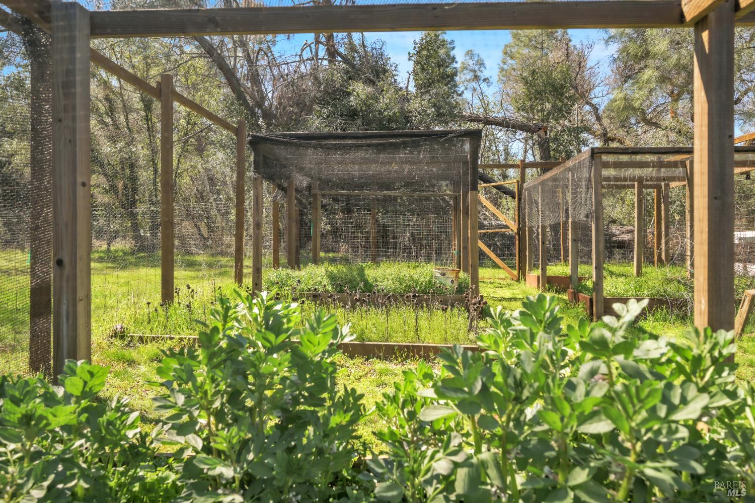 Detail Gallery Image 32 of 50 For 1996 River View Rd, Clearlake Oaks,  CA 95423 - 2 Beds | 1 Baths