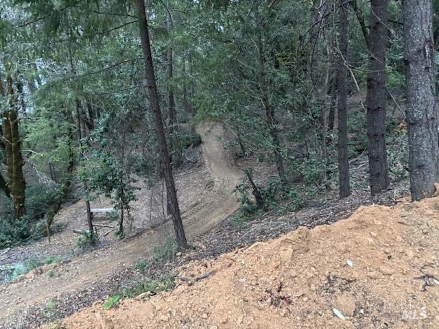 Detail Gallery Image 24 of 28 For 17707 Rockpile Rd, Geyserville,  CA 95441 - – Beds | – Baths