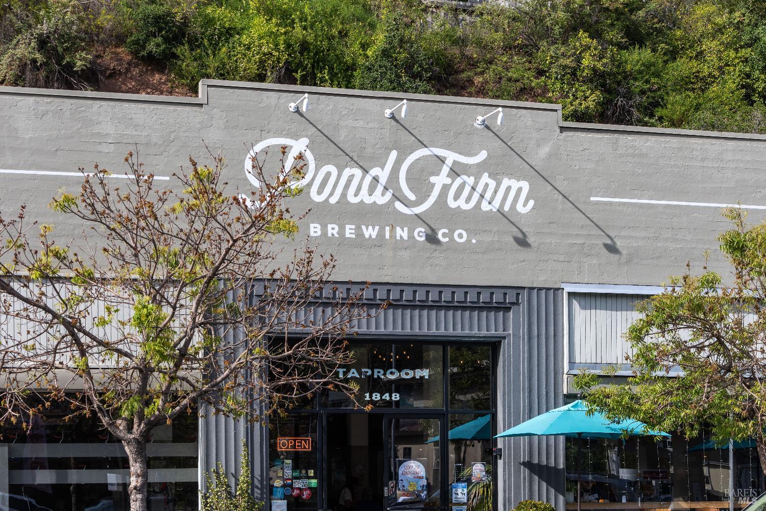 Detail Gallery Image 49 of 50 For 159 Terrace Ave, San Rafael,  CA 94901 - 3 Beds | 2 Baths