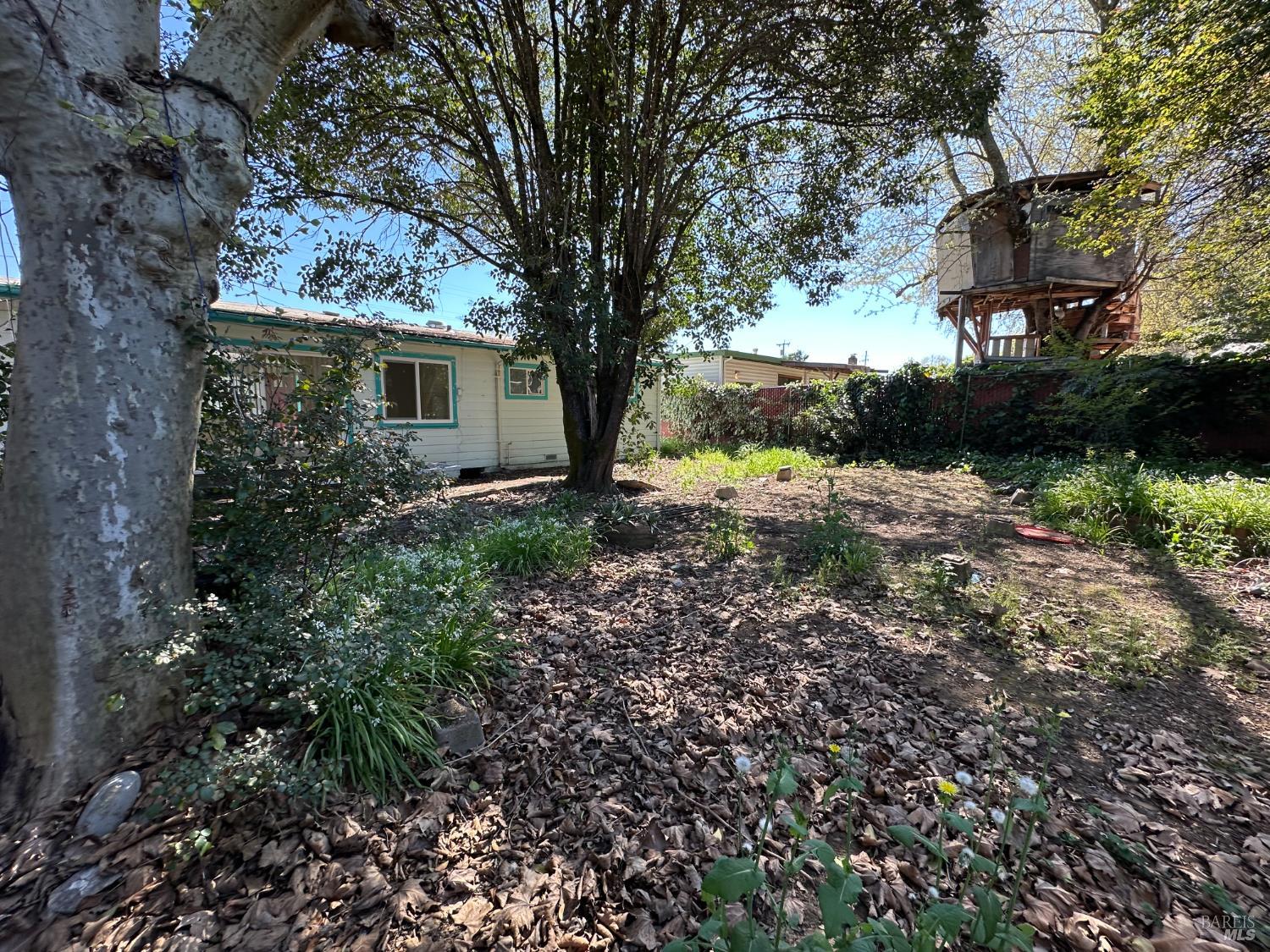 Detail Gallery Image 9 of 16 For 1804 S Dora St, Ukiah,  CA 95482 - 3 Beds | 1 Baths