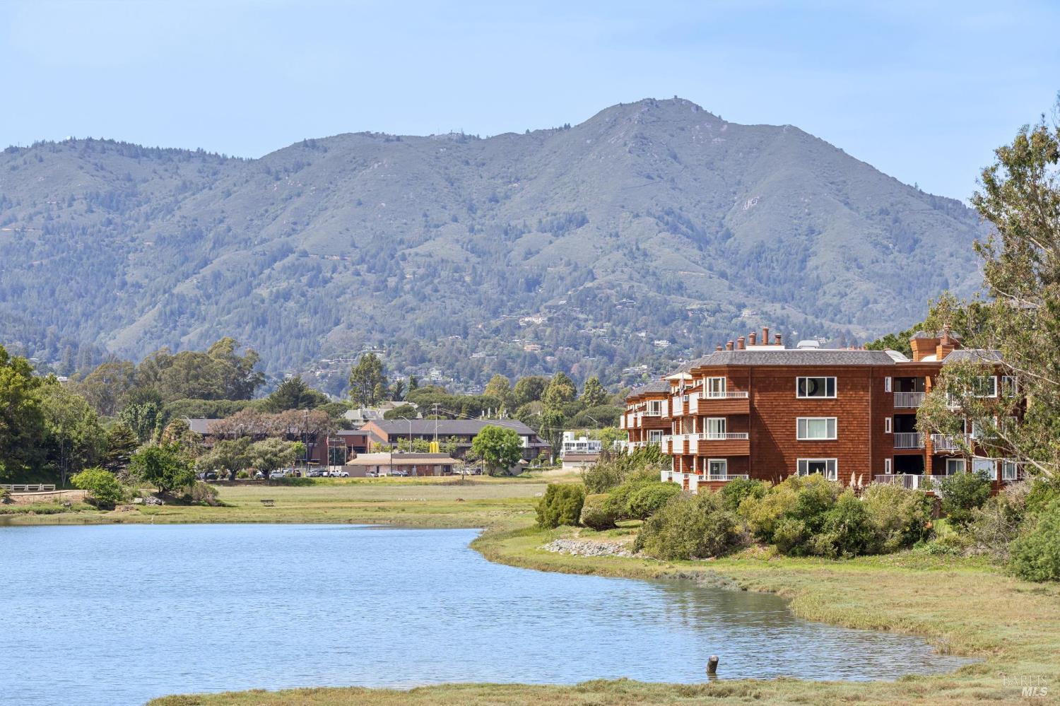 Detail Gallery Image 16 of 49 For 160 Seminary Dr 1e,  Mill Valley,  CA 94941 - 3 Beds | 2 Baths