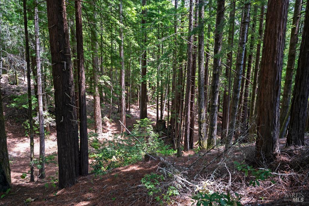 Detail Gallery Image 72 of 82 For 37275 Glennen Dr, Gualala,  CA 95445 - 3 Beds | 3 Baths