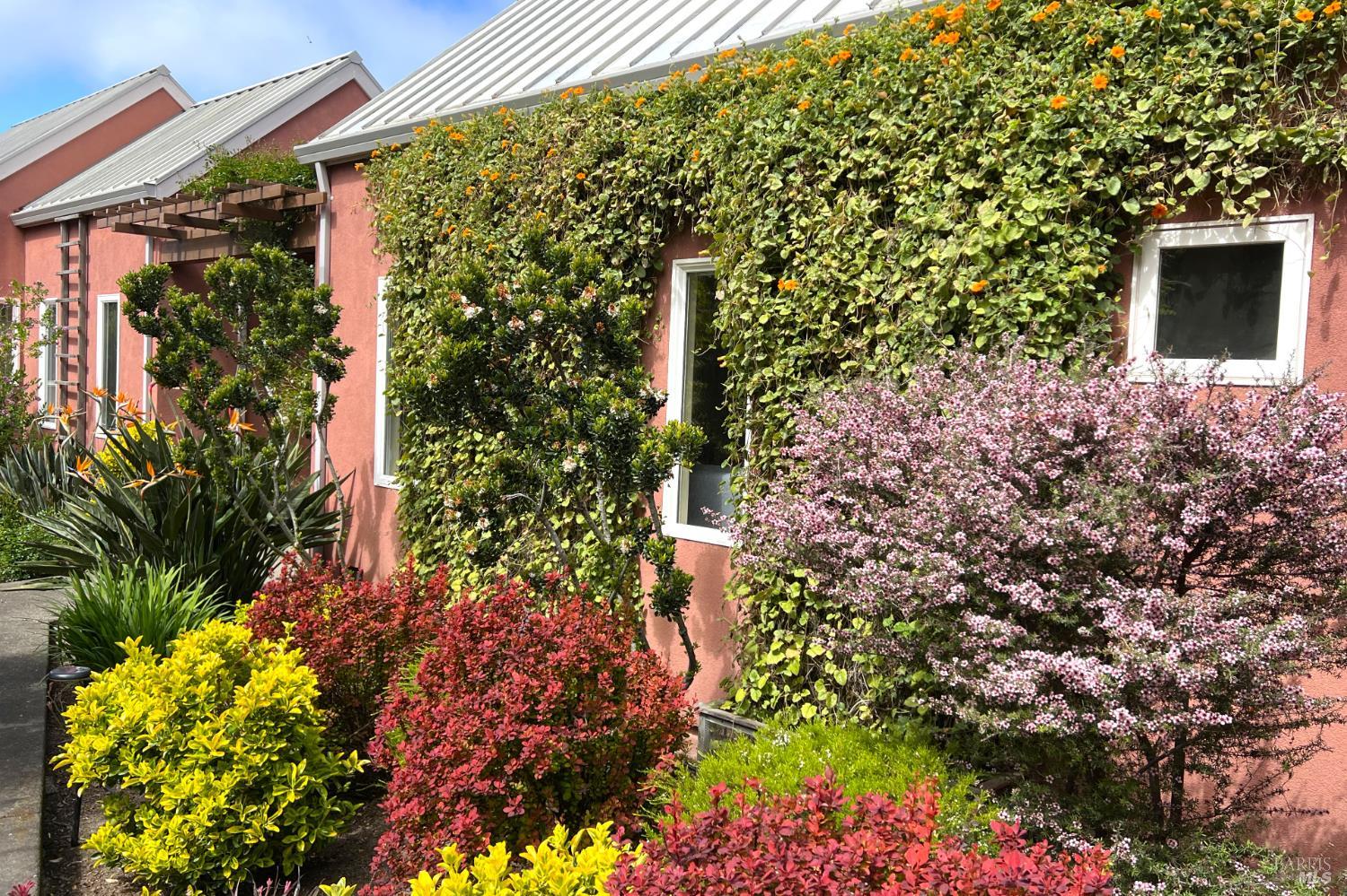 2045 Muniz Ranch Road photo 3