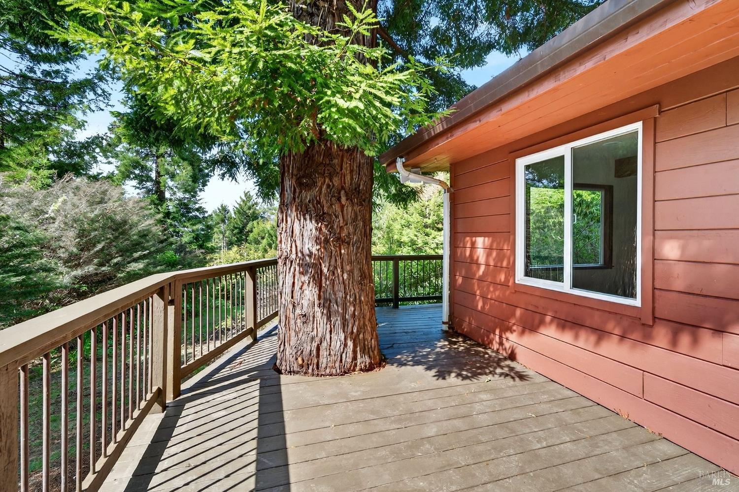 Detail Gallery Image 26 of 37 For 2900 Cameron Rd, Elk,  CA 95432 - 3 Beds | 2/1 Baths