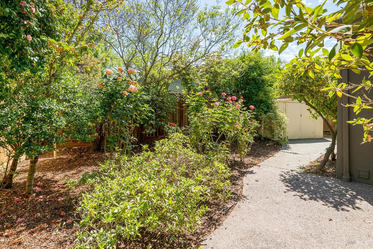 Detail Gallery Image 28 of 36 For 406 Corrillo Dr, San Rafael,  CA 94903 - 3 Beds | 2 Baths