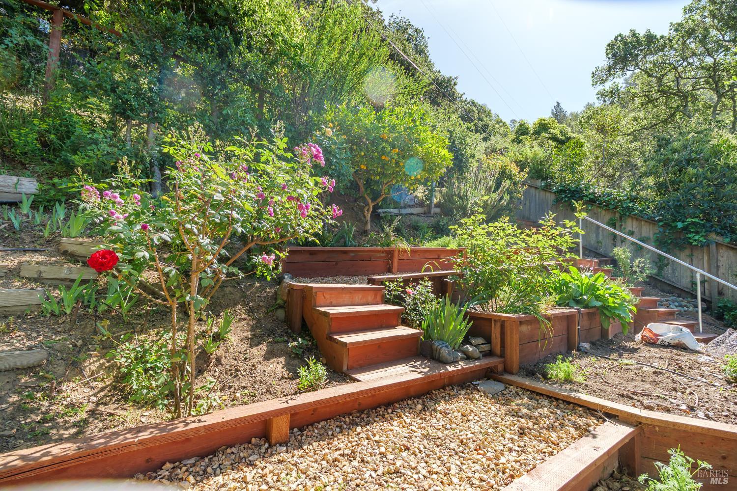 244 Manor Drive photo 2