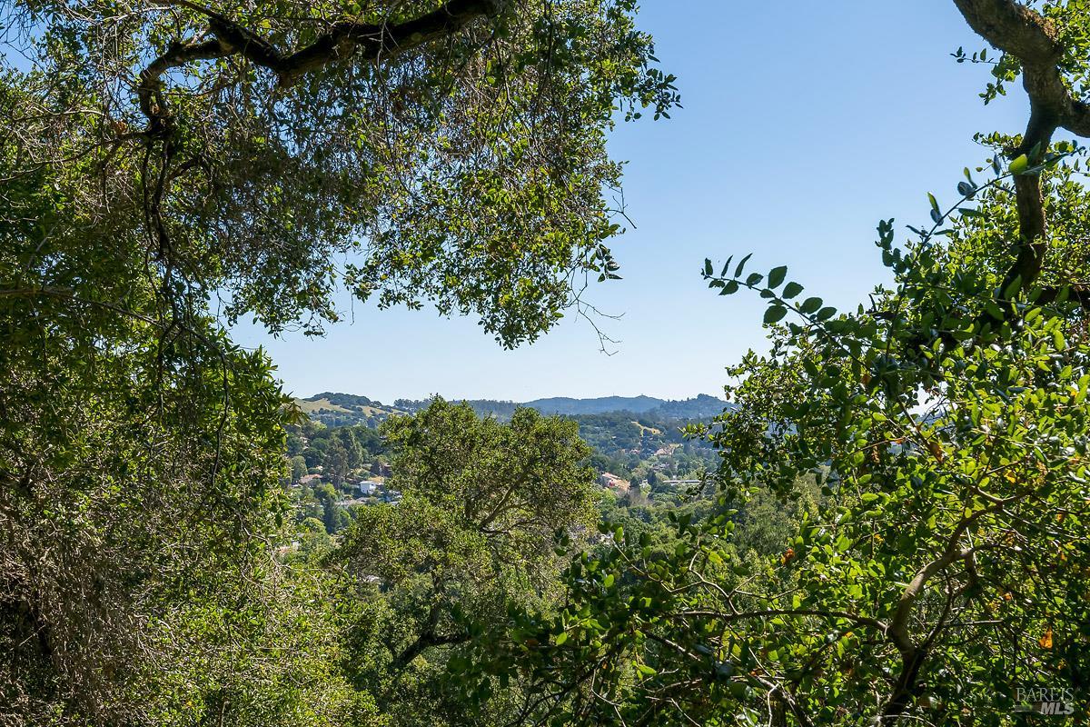 Detail Gallery Image 54 of 62 For 68 Wreden Ave, Fairfax,  CA 94930 - 2 Beds | 2 Baths