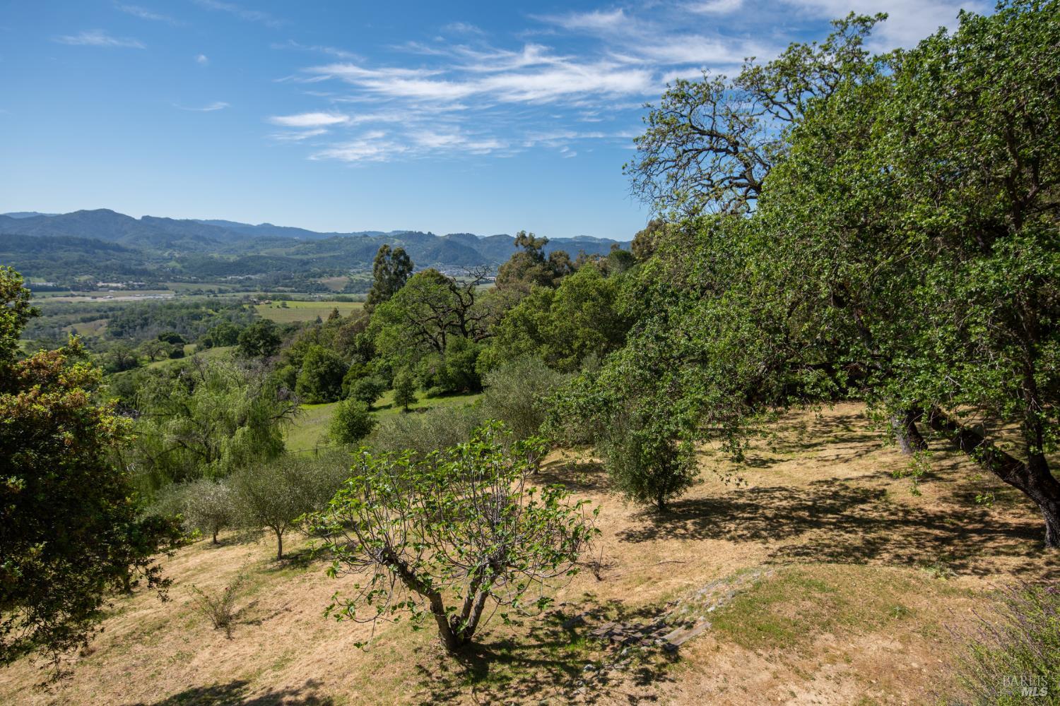 Detail Gallery Image 42 of 44 For 1163 Mountain Pine Rd, Cloverdale,  CA 95425 - 3 Beds | 3/1 Baths