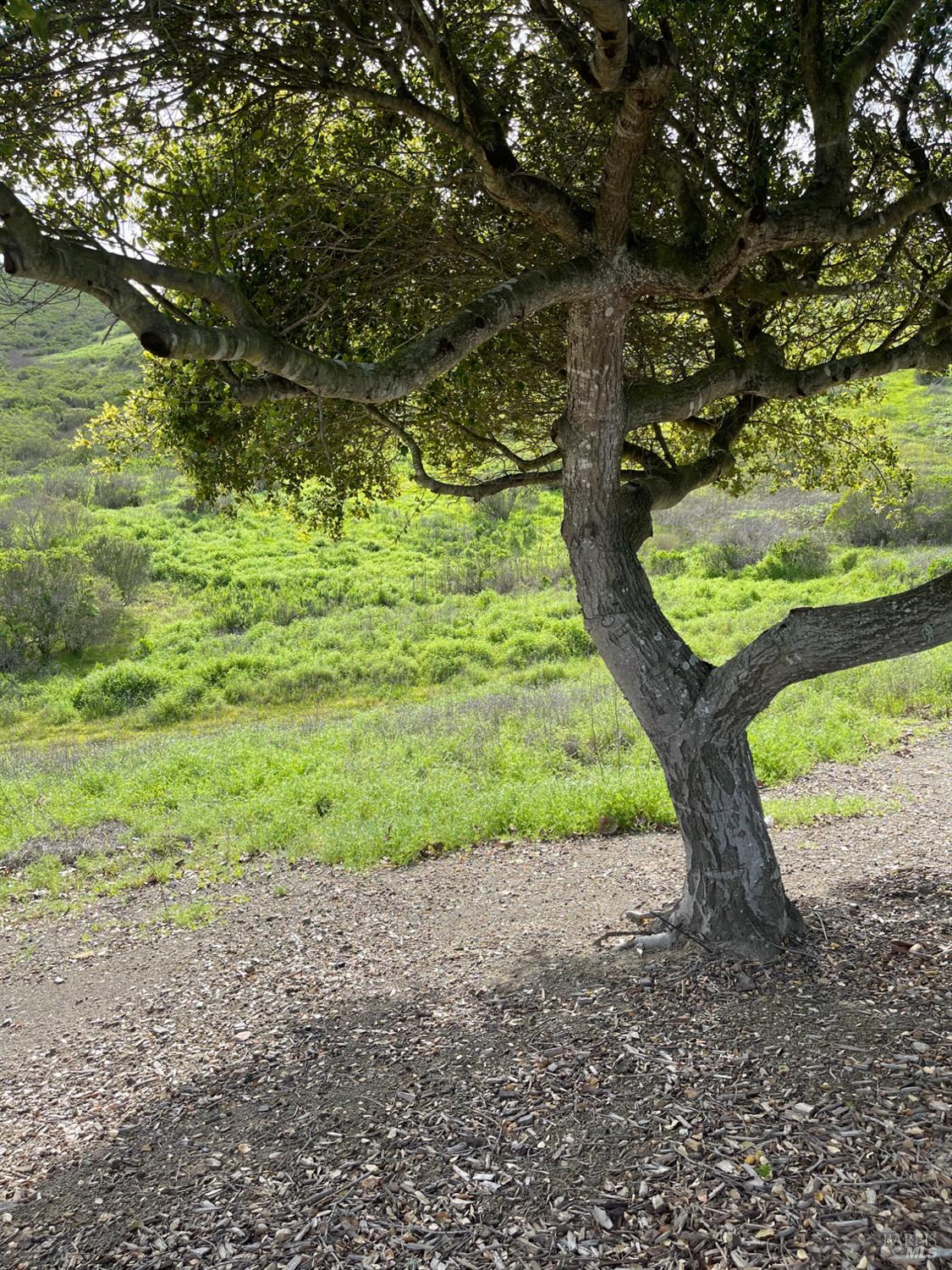 Detail Gallery Image 7 of 8 For 0 Hiddenbrooke Pkwy, Vallejo,  CA 94591 - – Beds | – Baths